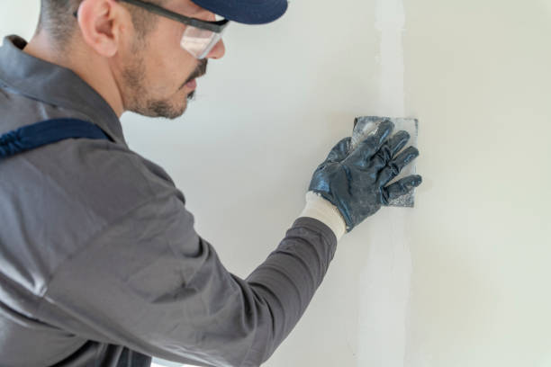 Best Comprehensive Air Testing for Mold Contaminants  in Oneonta, NY