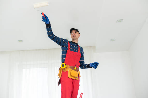 Best Mold Damage Restoration  in Oneonta, NY