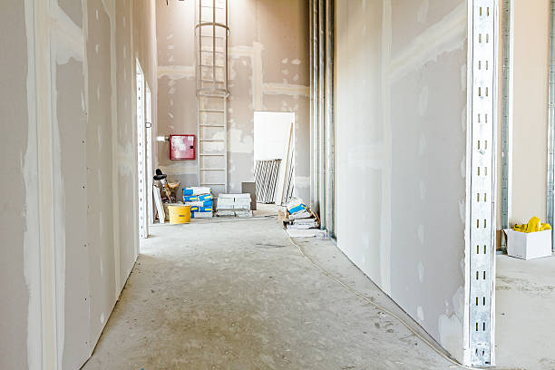 Best Crawl Space Mold Remediation  in Oneonta, NY