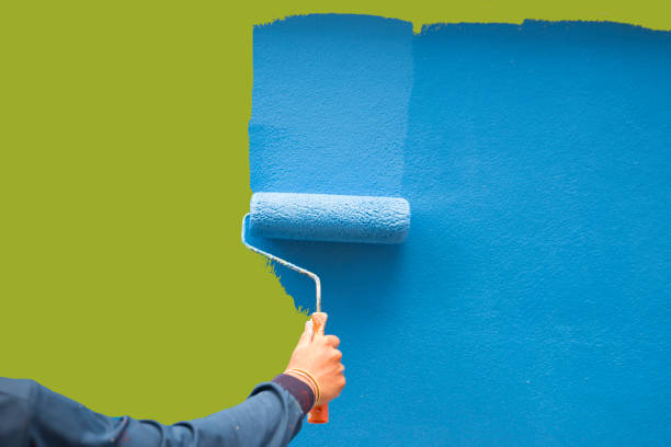 Best Basement Mold Removal  in Oneonta, NY