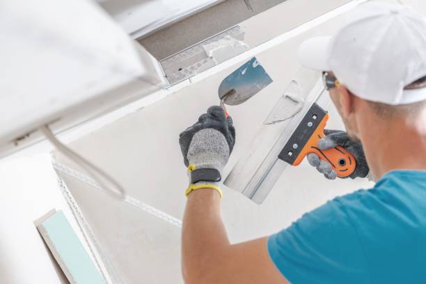 Best Attic Mold Removal  in Oneonta, NY